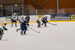1_DSC0891