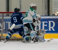 DSC0135.jpg