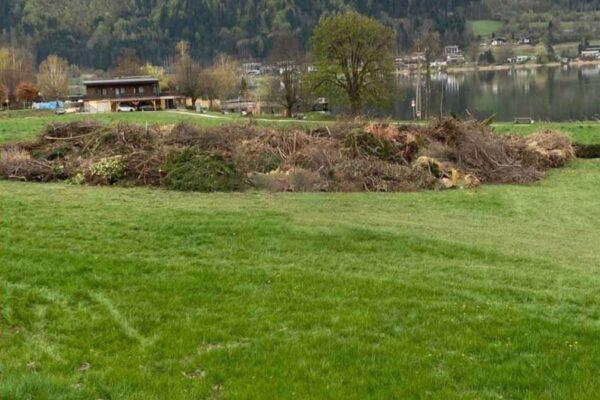 Steindorf: Bürger sollen befragt werden!