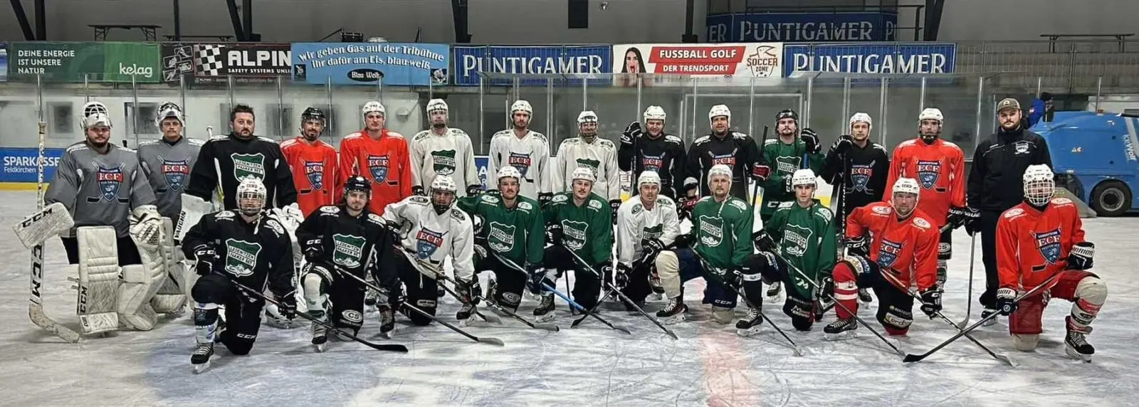 DSG-ECF