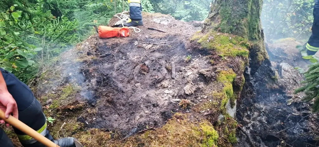Beginnender Waldbrand in Bodensdorf