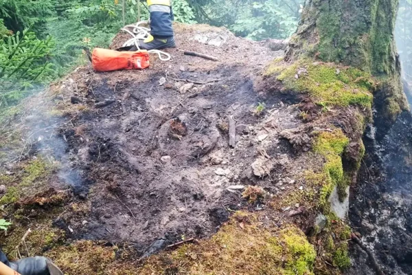 Beginnender Waldbrand in Bodensdorf