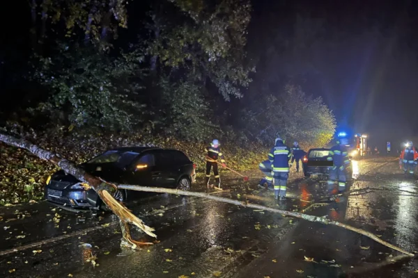 Sturm am Ossiacher See Ossiach Windboeen baum stuertzt auf Strasse