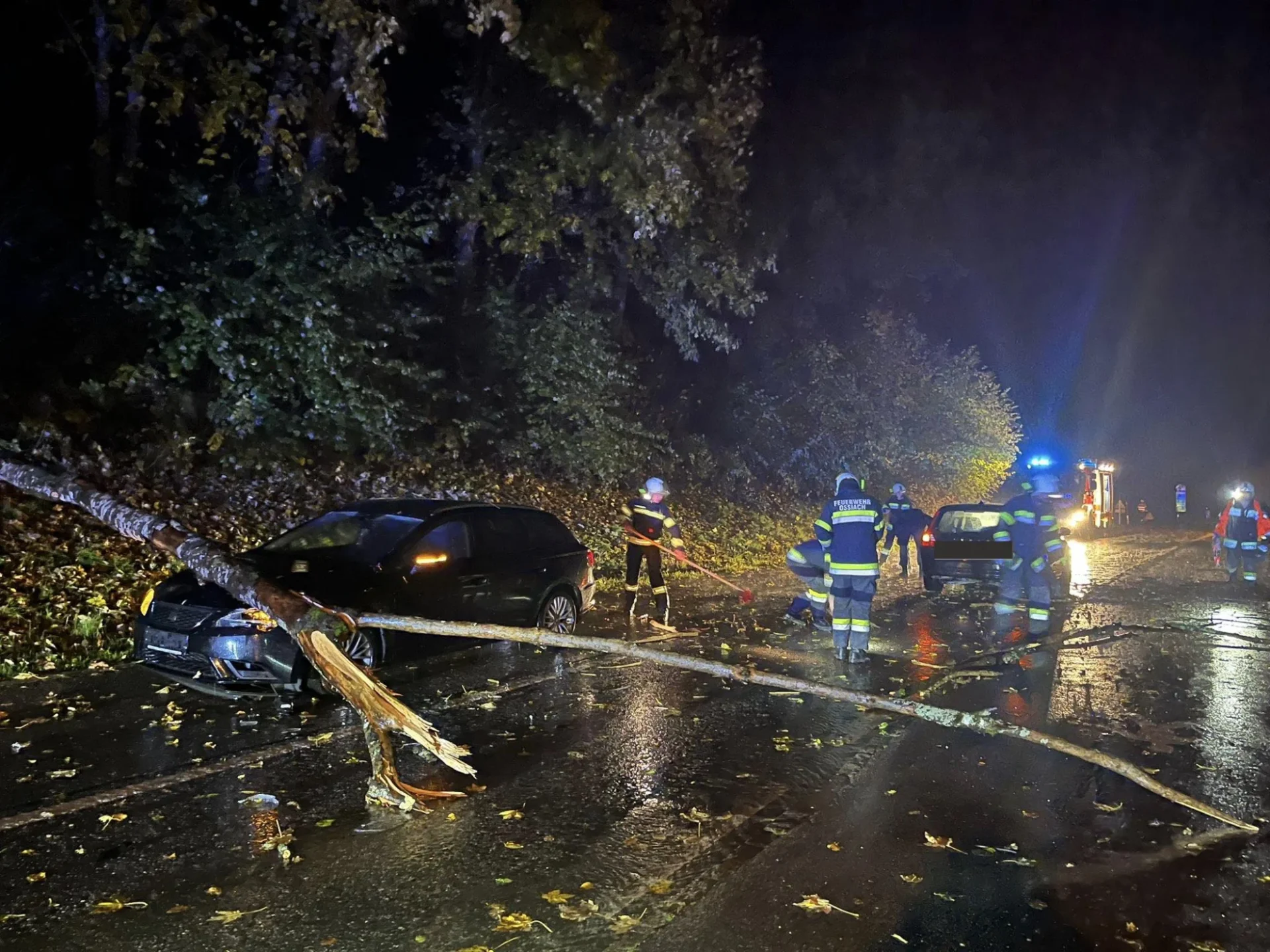Ossiach Windboeen baum stuertzt auf Strasse