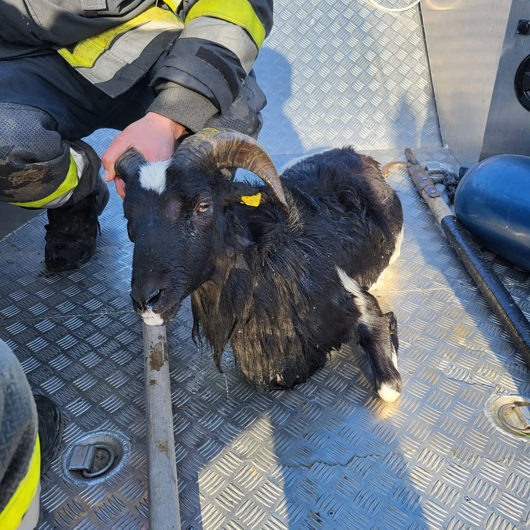 FF Bodensdorf Tierrettunf am Ossiacher See
